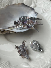 3D Print Seashell nail design workshop